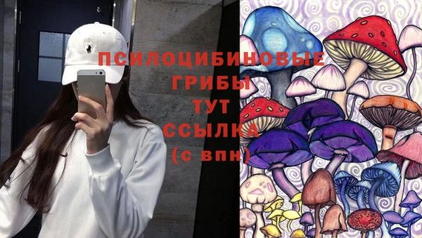 PSILOCYBIN Волоколамск